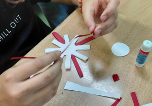 kotylion klasa 6b