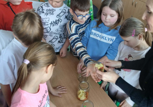 Uczniowie wraz z nauczycielem podczas obserwacji.