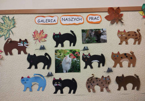 Kocia rodzinka klasa 1A