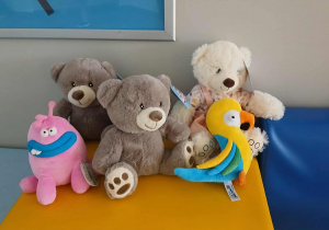 Zebrane pluszaki dla dzieci z oddziału onkologii.