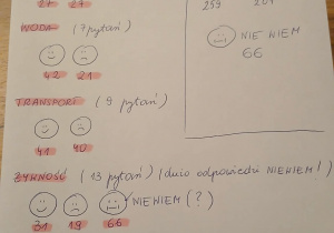 Wyniki audytu związanego ze staraniami o uzyskanie Międzynarodowego Certyfikatu Zielonej Flagi.