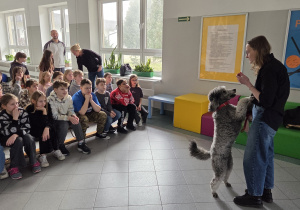 Pani weterynarz wraz z psem.