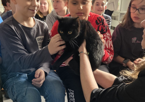 Uczniowie głaszczący kota.