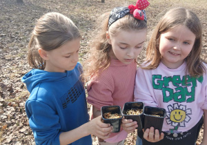Uczennice z doniczkami z owsem.
