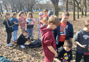 Uczniowie podczas siania owsa.