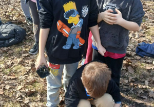 Uczniowie podczas siania owsa.