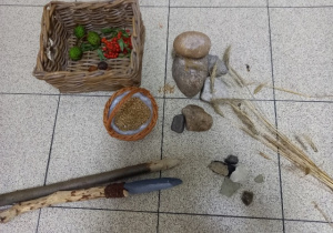 Kosz z żywnością, żarna kamienne z roztartymi ziarnami, kłosy zbóż, broń kamienne narzedzia