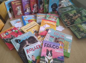 Dzień Kundelka w bibliotece szkolnej